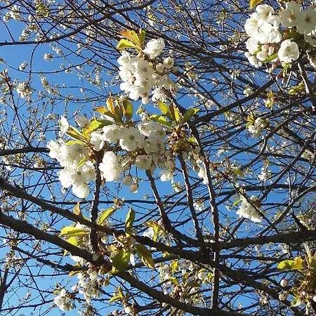 Ξενοδοχείο Lago Laux Fenestrelle